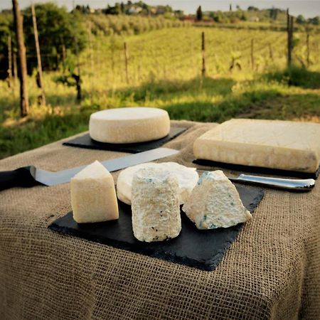 Agriturismo Fattoria Le Caprine Gambassi Terme Zewnętrze zdjęcie