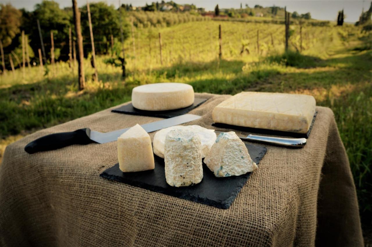 Agriturismo Fattoria Le Caprine Gambassi Terme Zewnętrze zdjęcie
