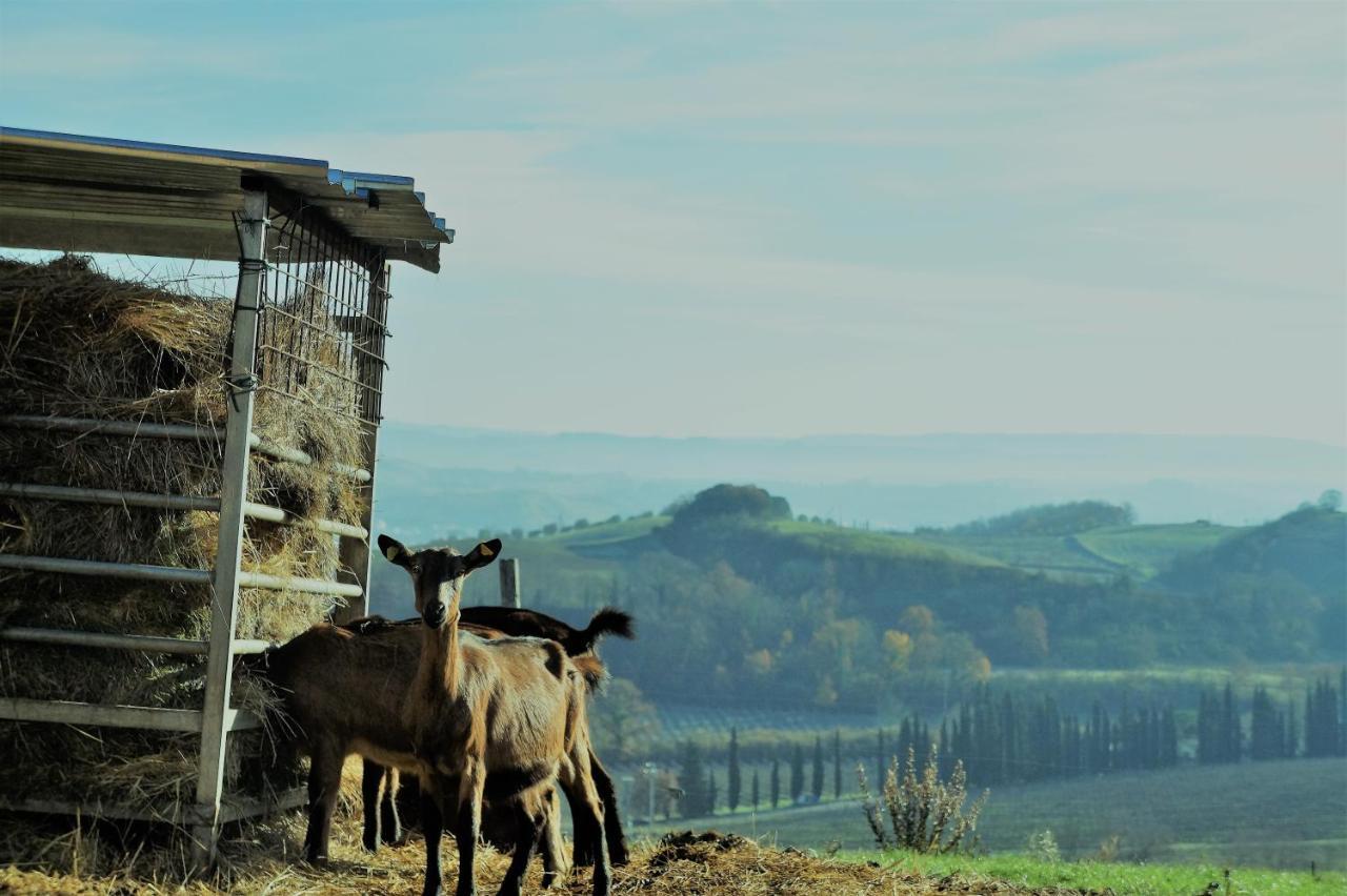 Agriturismo Fattoria Le Caprine Gambassi Terme Zewnętrze zdjęcie